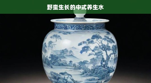 野蛮生长的中式养生水，古老智慧的新时代演绎