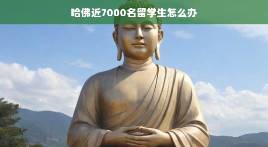 哈佛近7000名留学生怎么办？不必过于担心，一切都会变得更好
哈佛近7000名留学生的未来之路，挑战与机遇并存