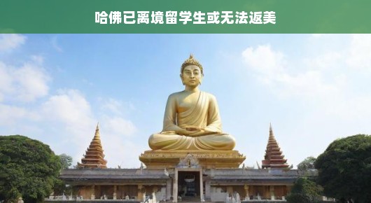 哈佛已离境留学生的新旅程，无法返美，却依旧前行
