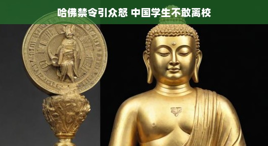 哈佛禁令引发争议，中国学生面临两难境地