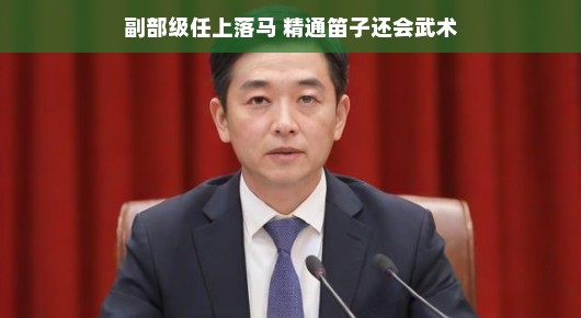 副部级官员落马记,笛韵与武术背后的故事