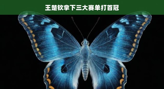 王楚钦，破茧成蝶，勇夺三大赛单打首冠