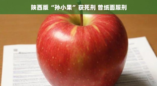 陕西版孙小果获死刑，曾经的纸面服刑引发深思