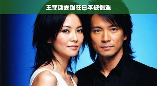 王菲谢霆锋在日本偶遇记