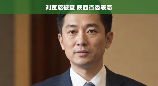 刘宽忍被查背后的故事与陕西省委的坚定表态