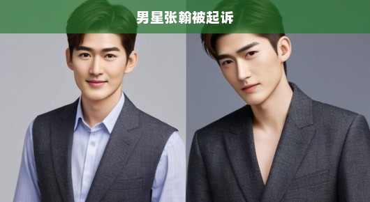 男星张翰被起诉,娱乐圈的又一热门话题