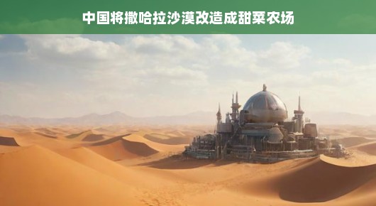 中国将撒哈拉沙漠改造成甜菜农场的奇迹之旅