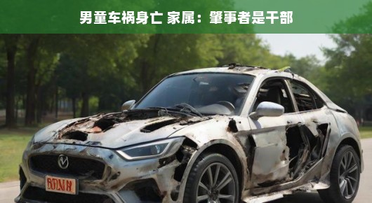 男童车祸身亡，家属披露，肇事者是干部—真相与反思