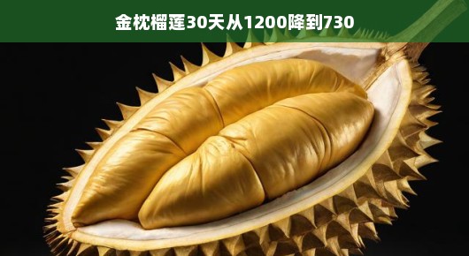 金枕榴莲,一场价格大跳水的奇妙之旅