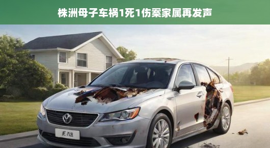 株洲母子车祸案后续,家属再次发声,传递爱与希望的力量