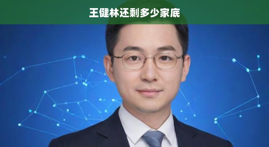 王健林还剩多少家底,深度解析