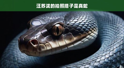 汪苏泷拍照意外搭档真蛇，画面生动惊喜！