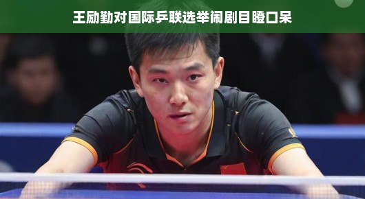 王励勤与国际乒联选举闹剧，目瞪口呆的背后故事