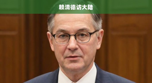 台大教授眼中的赖清德当局，一事无成？