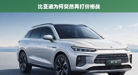 比亚迪为何再次掀起价格战? 比亚迪为何再次掀起价格战?