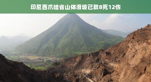 印尼西爪哇省山体滑坡，灾难中的希望与挑战