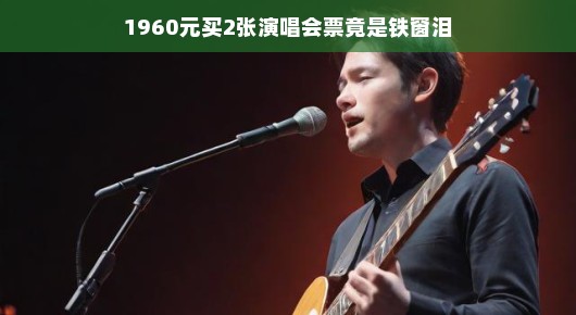 铁窗泪背后的音乐情怀，一场演唱会的意外之旅