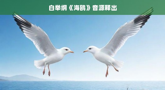 白举纲海鸥音源释出,音乐之旅的新启程