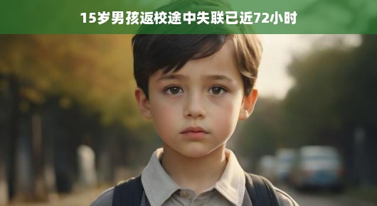 青春的挑战与奇迹,十五岁少年返校路上的失联与重生之旅