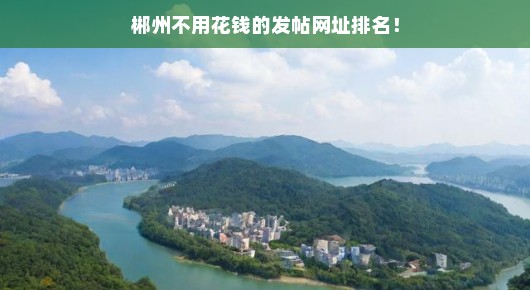 郴州免费发帖网址大揭秘！排名与使用心得分享