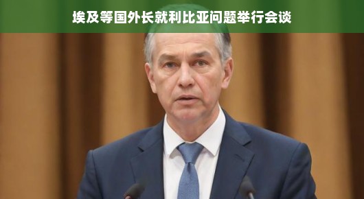 埃及等国外长就利比亚问题举行会谈，寻求稳定与和平的新契机