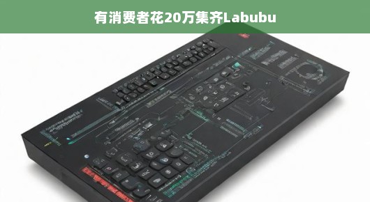 轻松购物体验，有消费者花20万集齐Labubu系列
