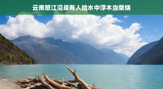 云南怒江沿岸,浮木变柴薪的奇妙故事