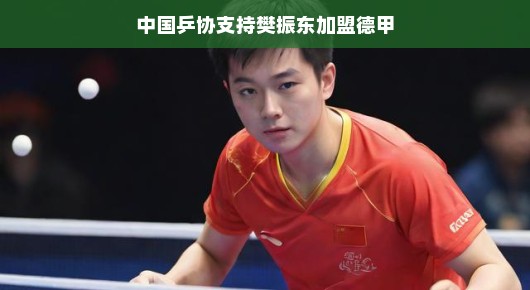 中国乒协全力支持樊振东加盟德甲,乒坛新篇章的开启