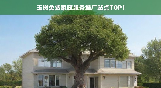 玉树免费家政服务推广站点TOP,一站式家庭关怀从这里开始