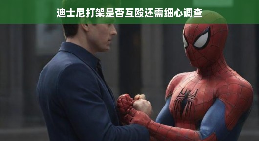 迪士尼打架事件真相揭秘，是否互殴还需细心调查