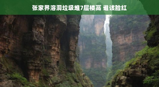 张家界溶洞垃圾堆，七层楼高的尴尬与反思
探访张家界溶洞，偶遇七层垃圾堆引发的深思