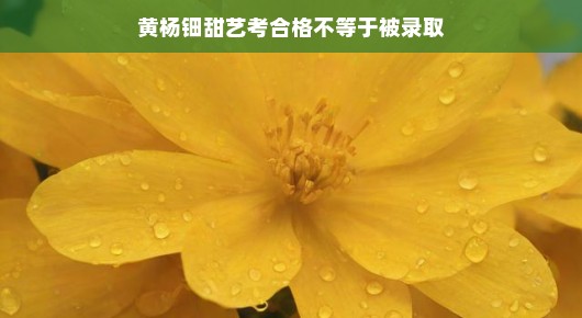 黄杨钿甜艺考合格之路，从入围到录取的跨越