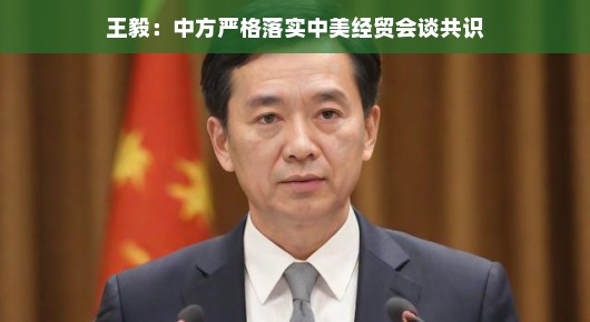 王毅，中方严格落实中美经贸会谈共识，携手共进未来可期