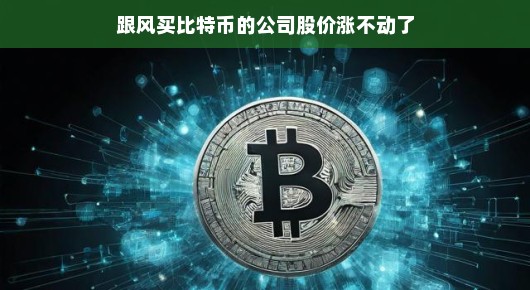 跟风买比特币的公司股价涨不动了？让我们深入探究一番