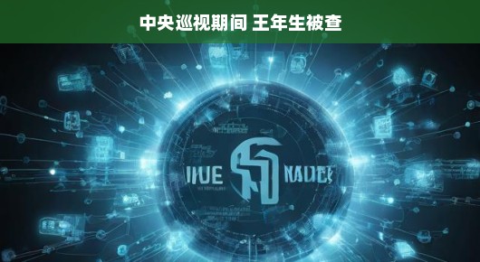 中央巡视期间反腐成果显著，王年生被查，彰显反腐工作新成效。