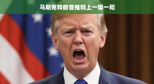 马斯克怒批特朗普税改法案，一场意料之外的口水战