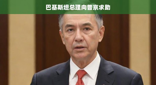 巴基斯坦总理向普京求助，两国合作的新篇章